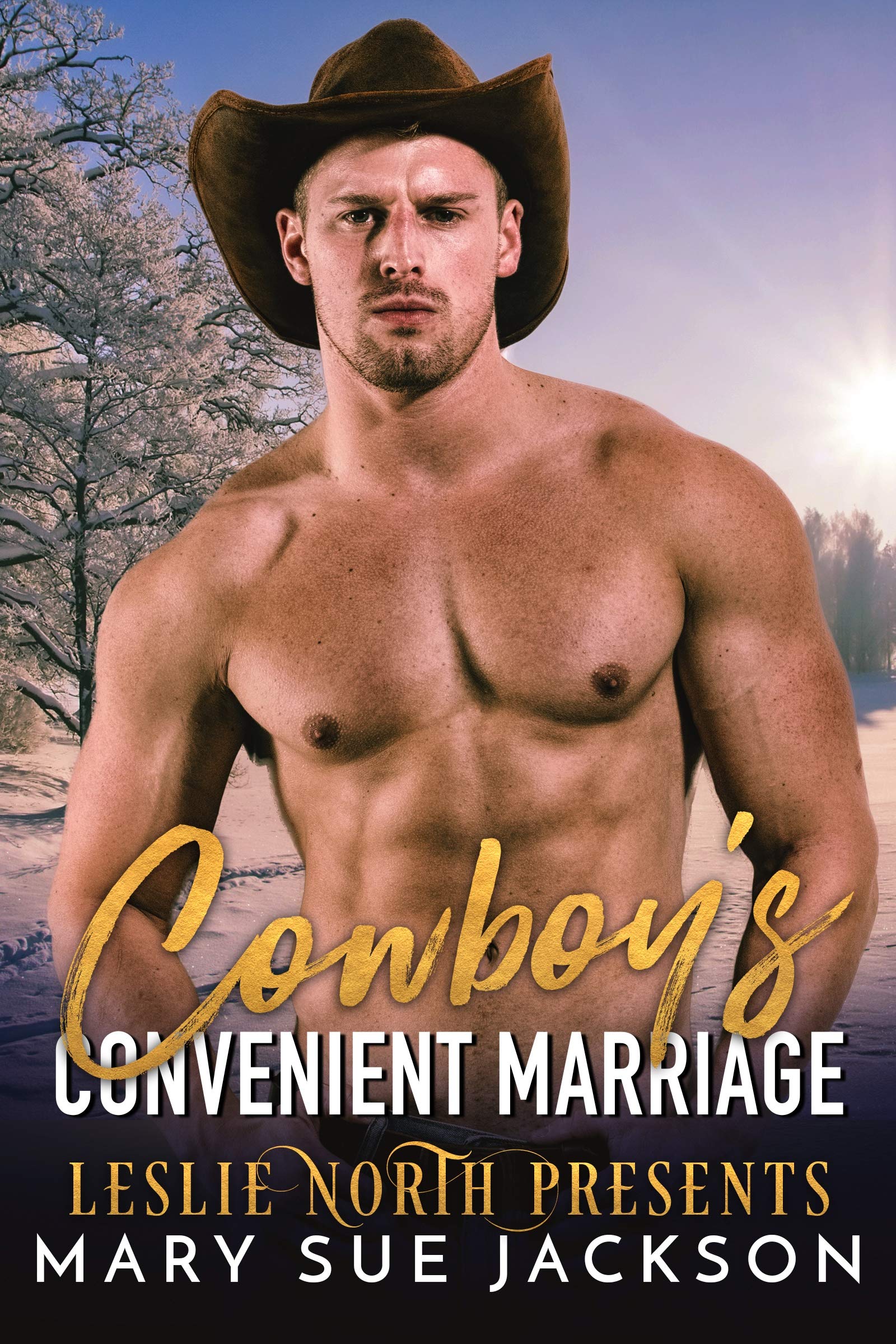 Cowboy's Convenient Marriage (Kindle Edition)