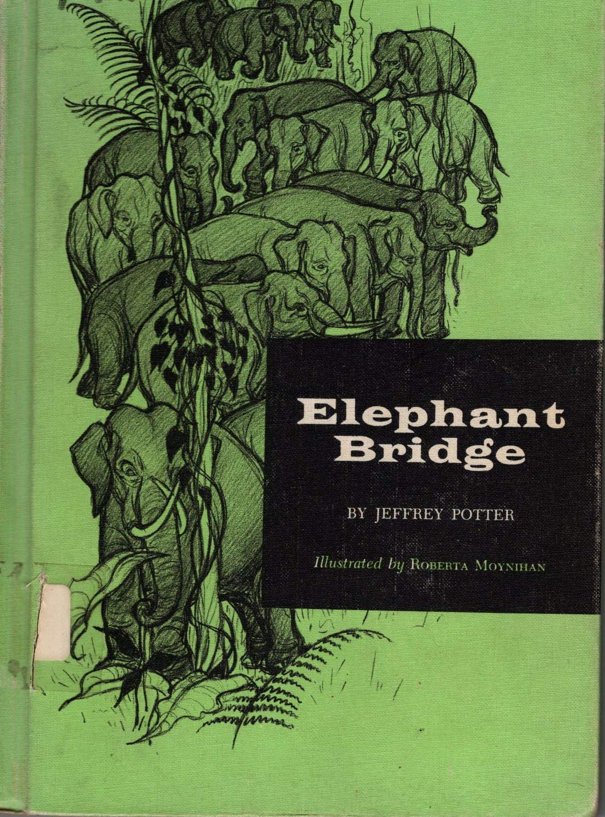 Elephant Bridge