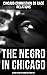 The Negro in Chicago - A St...