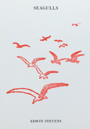 Seagulls