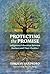 Protecting the Promise: Ind...