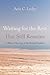 Waiting for the Rest That Still Remains: A Biblical Theology of the Former Prophets