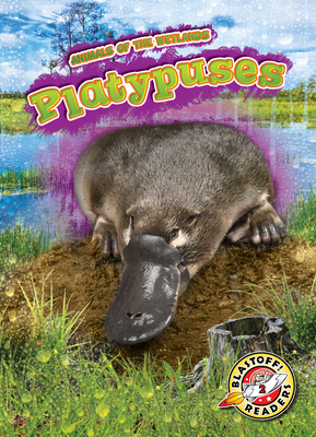 Platypuses (Animals of the Wetlands: Blastoff! Readers, Level 2)