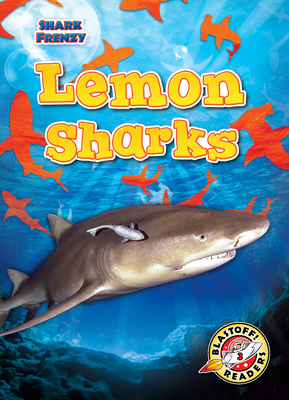 Lemon Sharks (Shark Frenzy: Blastoff! Readers Level 3)