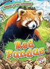 Red Pandas