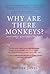 Why Are There Monkeys? (and other questions for God)