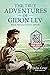 The True Adventures of Gidon Lev by Julie  Gray