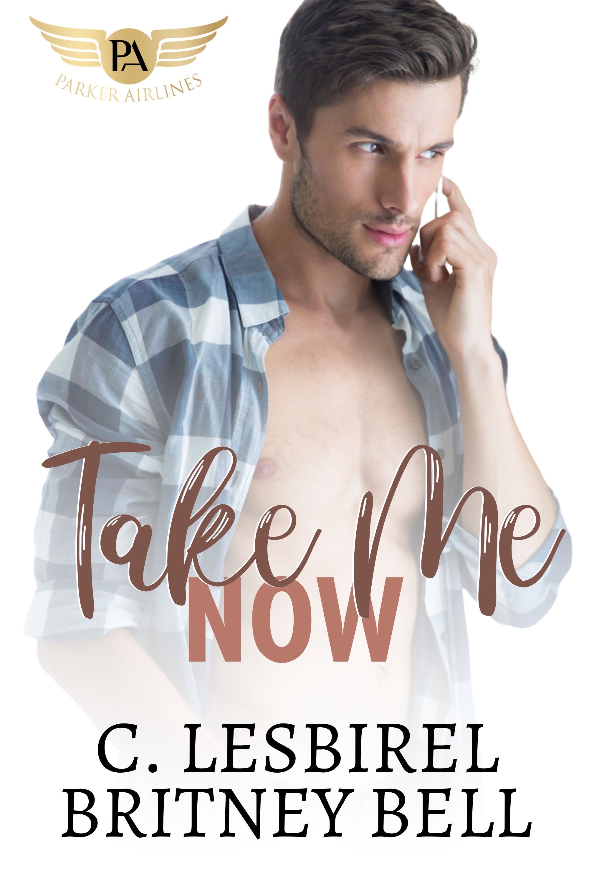 Take Me Now (Cockpit, #4)