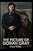 The Picture of Dorian Gray Illustrated