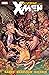 Wolverine and the X-Men, Vol. 2