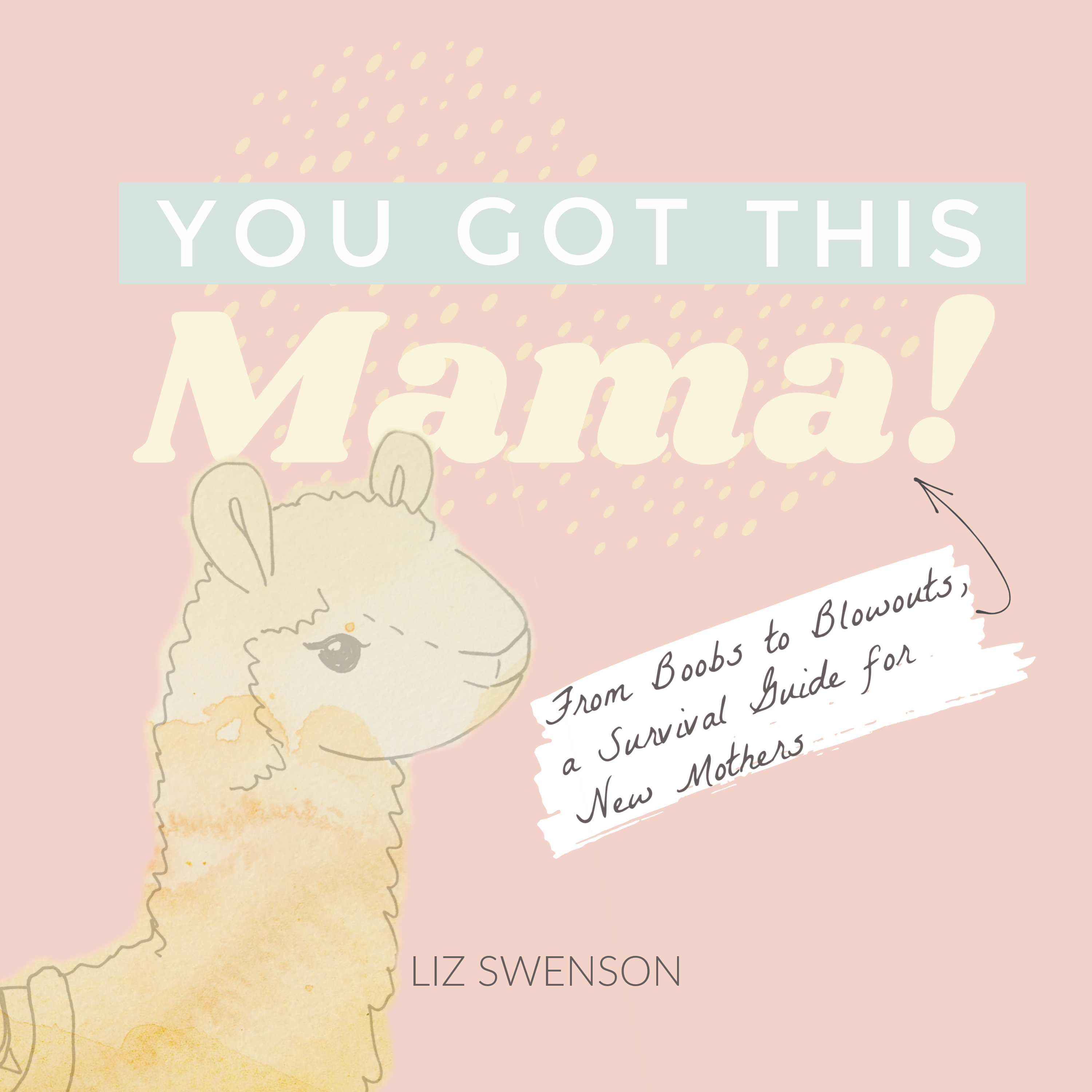 You Got This, Mama!: From Boobs to Blowouts, a Survival Guide for New Mothers (Hardcover)