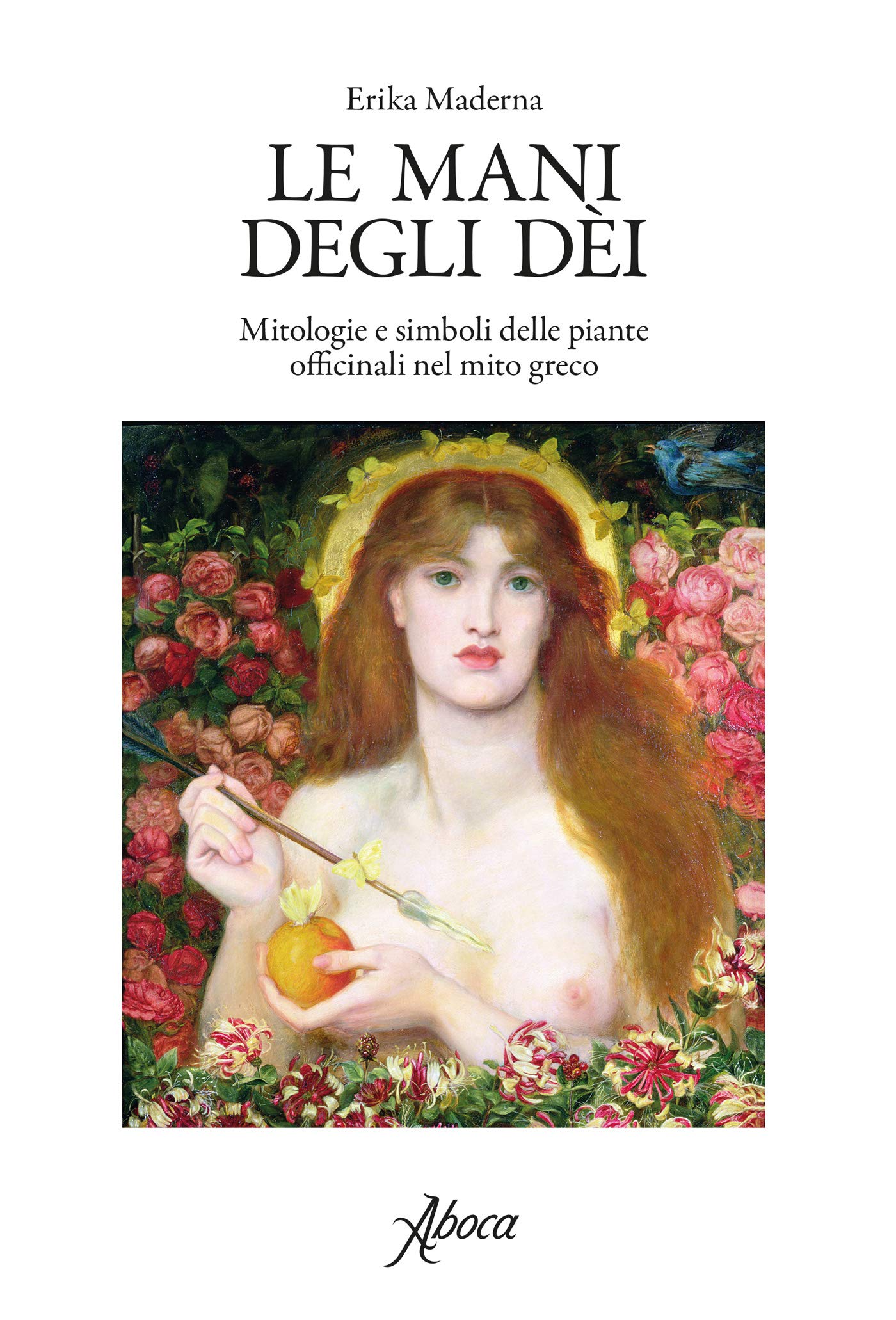 Le mani degli dei (Kindle Edition)