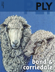 Ply Magazine Spring 2019