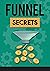 Funnel Secrets by Scott Perry
