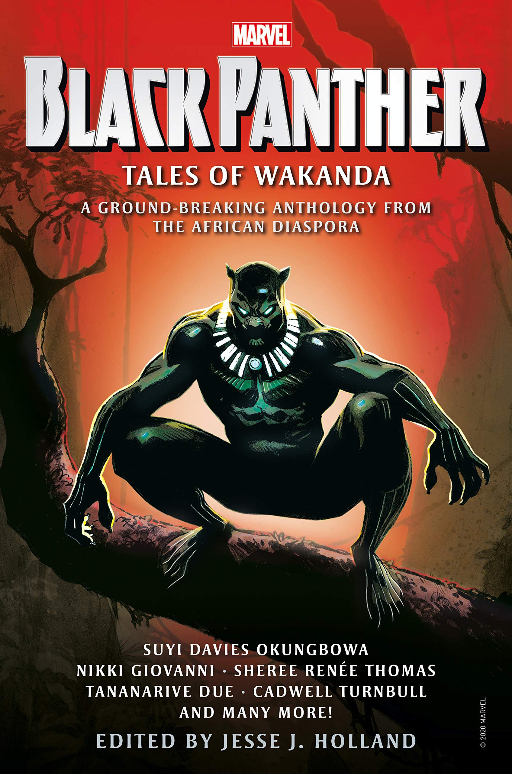 Black Panther: Tales of Wakanda (Kindle Edition)