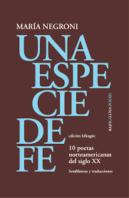 Una especie de fe (Paperback)