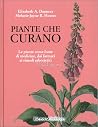 Piante che curano