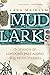 Mudlark: In Search of London's Past Along the River Thames