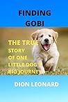 Finding Gobi: You...