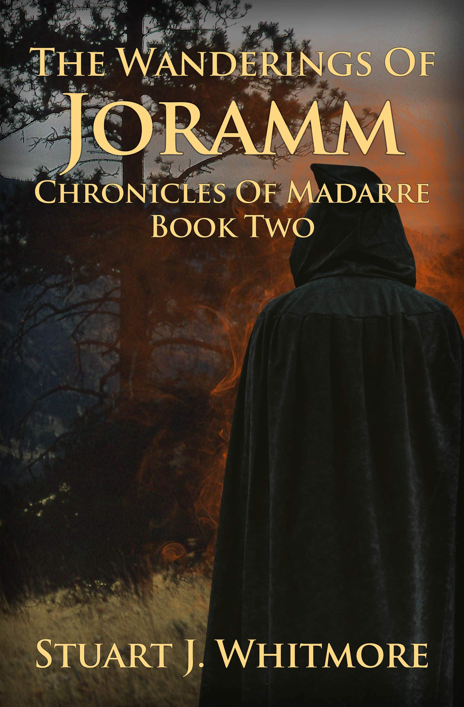 The Wanderings of Joramm (Chronicles of Madarre Book 2)