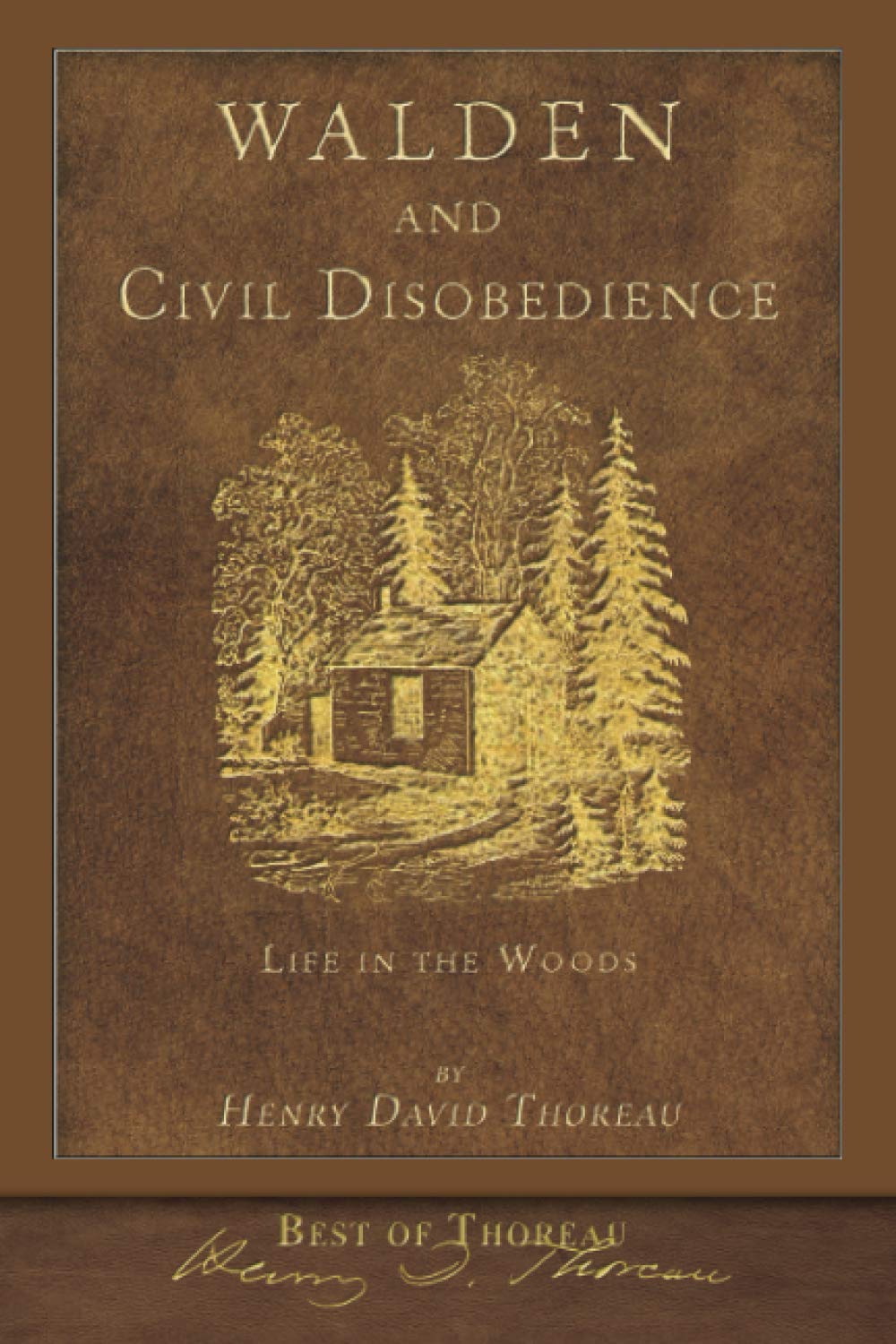 Best of Thoreau: Walden and Civil Disobedience