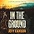 In the Ground (David Wolf, #14)