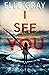 I See You (Arrington Mysteries, #1)