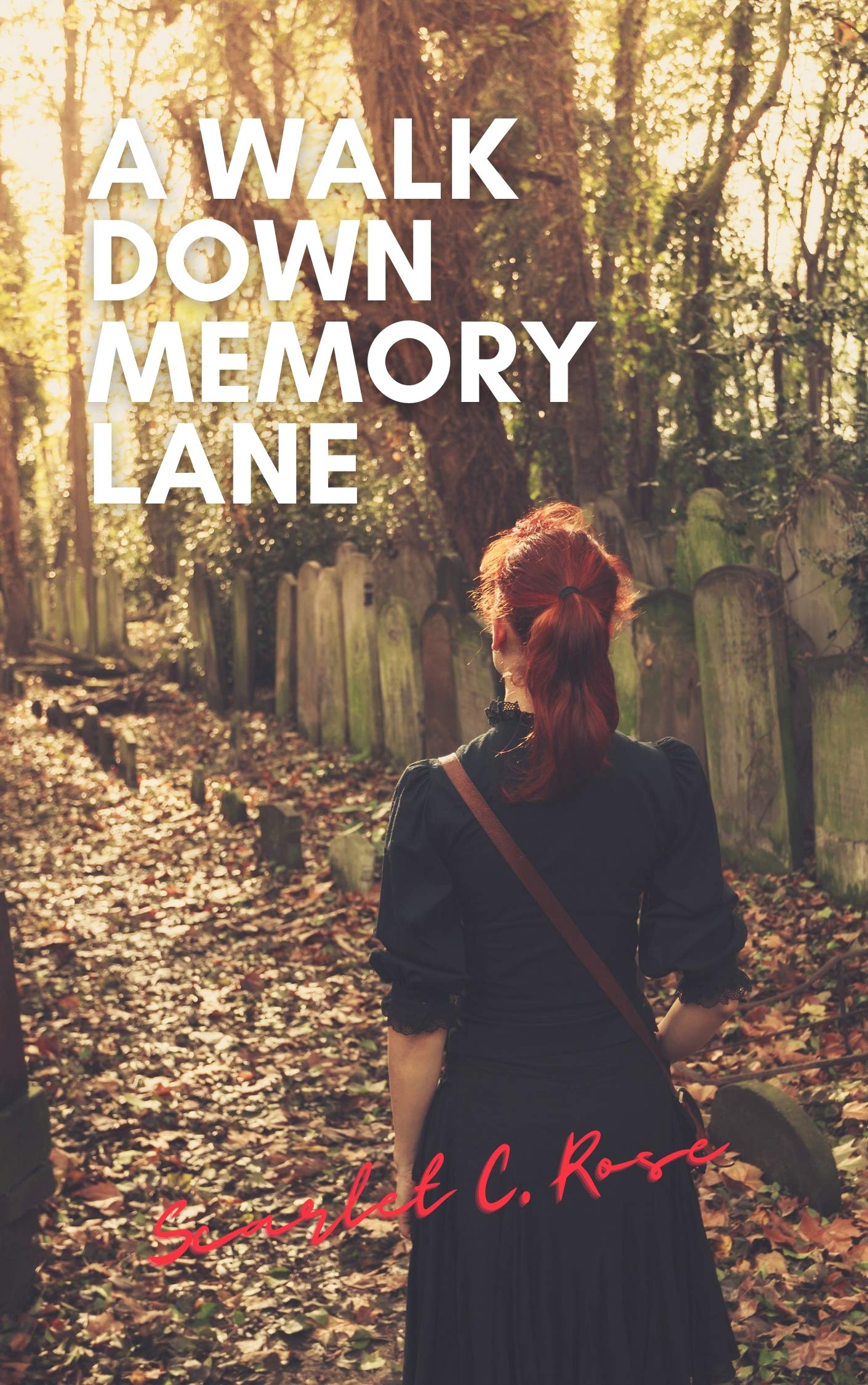 A Walk Down Memory Lane (Kindle Edition)
