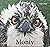 Monty by Emyr Evans