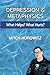 Depression and Metaphysics: What Helps? What Hurts? (2018 Master Class Series)