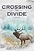 Crossing the Divide by Lynn Stansbury