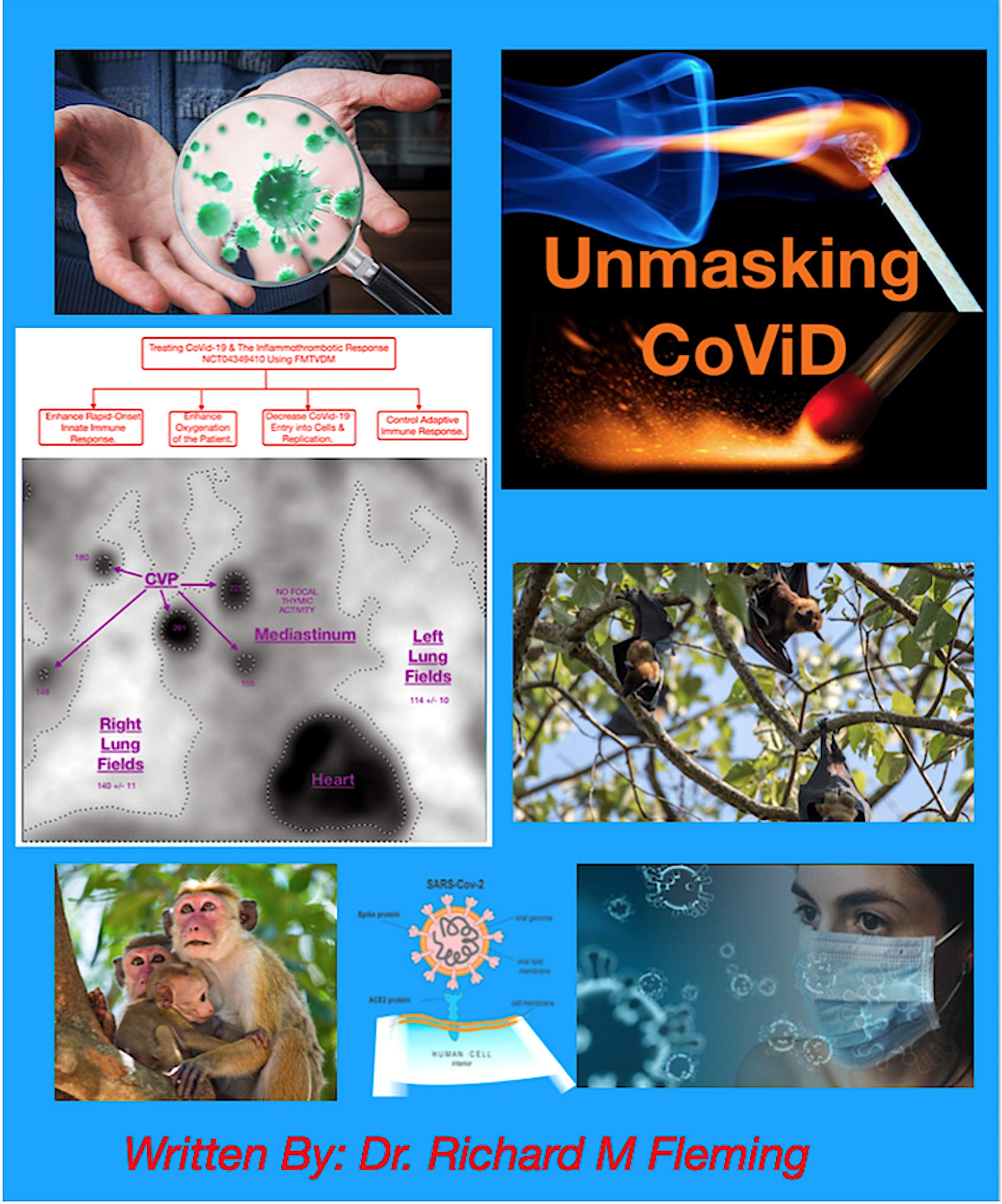 Unmasking CoViD - Part 1 (Kindle Edition)