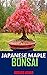 JAPANESE MAPLE BONSAI: Disc...