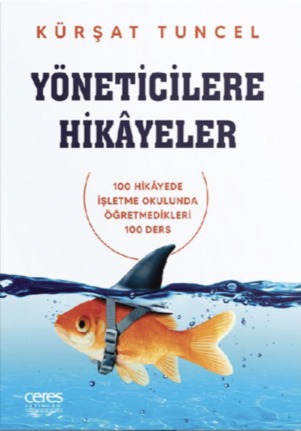 Yöneticilere Hikayeler