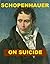 Schopenhauer - On Suicide