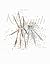Kiki Smith: Hearing You wit...