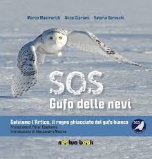 SOS Gufo delle nevi