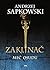 Meč osudu by Andrzej Sapkowski