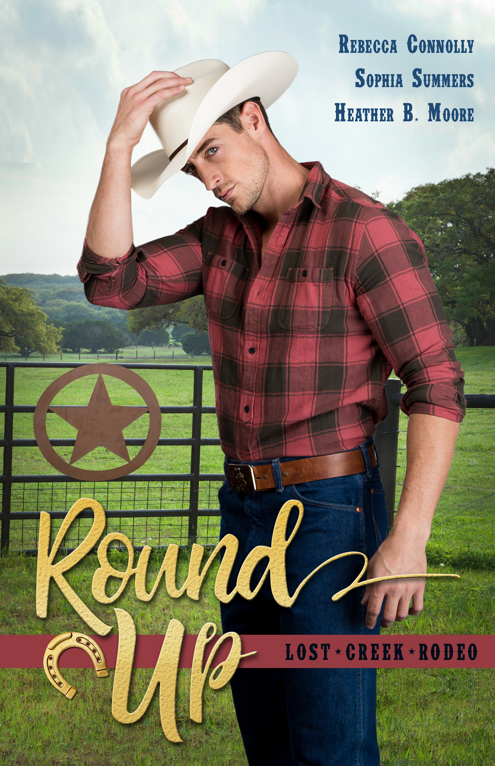 Round Up (Lost Creek Rodeo #1)