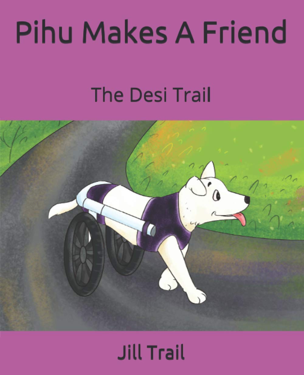 Pihu Makes A Friend: The Desi Trail (Paperback)