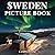 Sweden Picture Book: 100 Be...