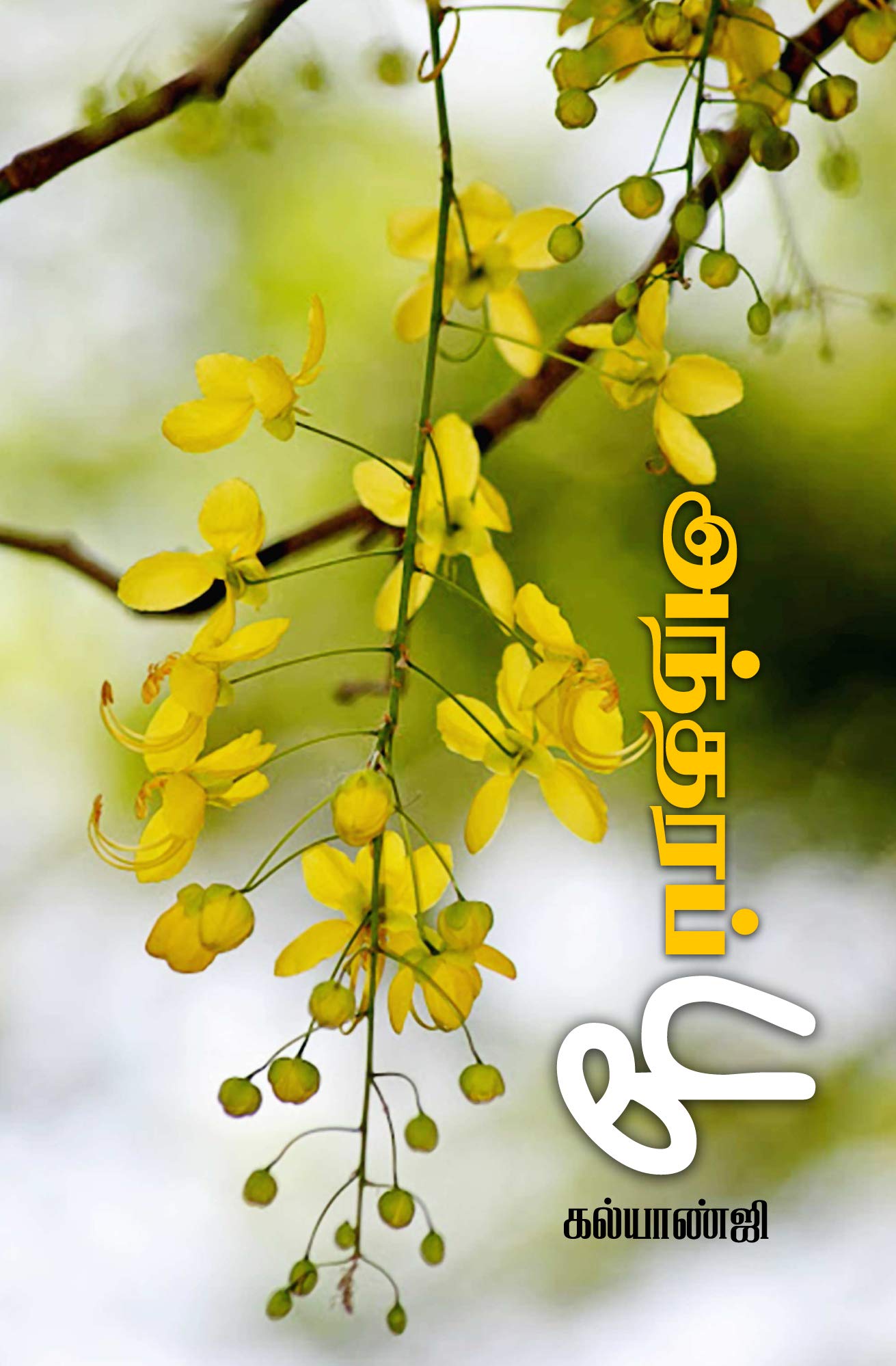 அந்தரப் பூ [Antharapoo] (Kindle Edition)