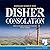 Consolation (Hirsch, #3) by Garry Disher