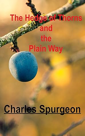The Hedge of Thorns and the Plain Way