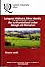 Language Attitudes, Ethnic Identity and Dialect Use across the Northern Irish / Irish Border: Armagh and Monaghan