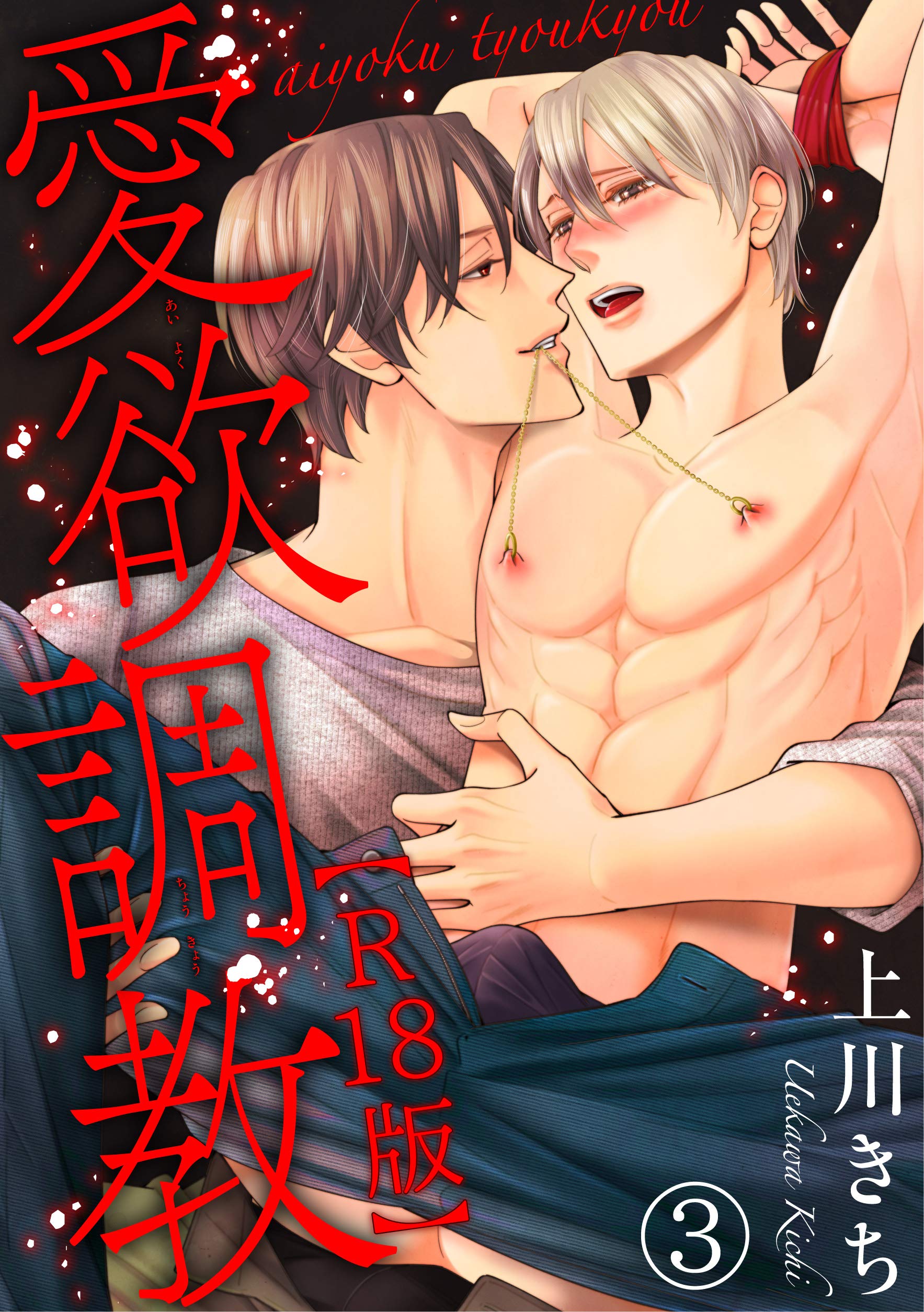 愛欲調教R18版3 (BL宣言) (Japanese Edition)
