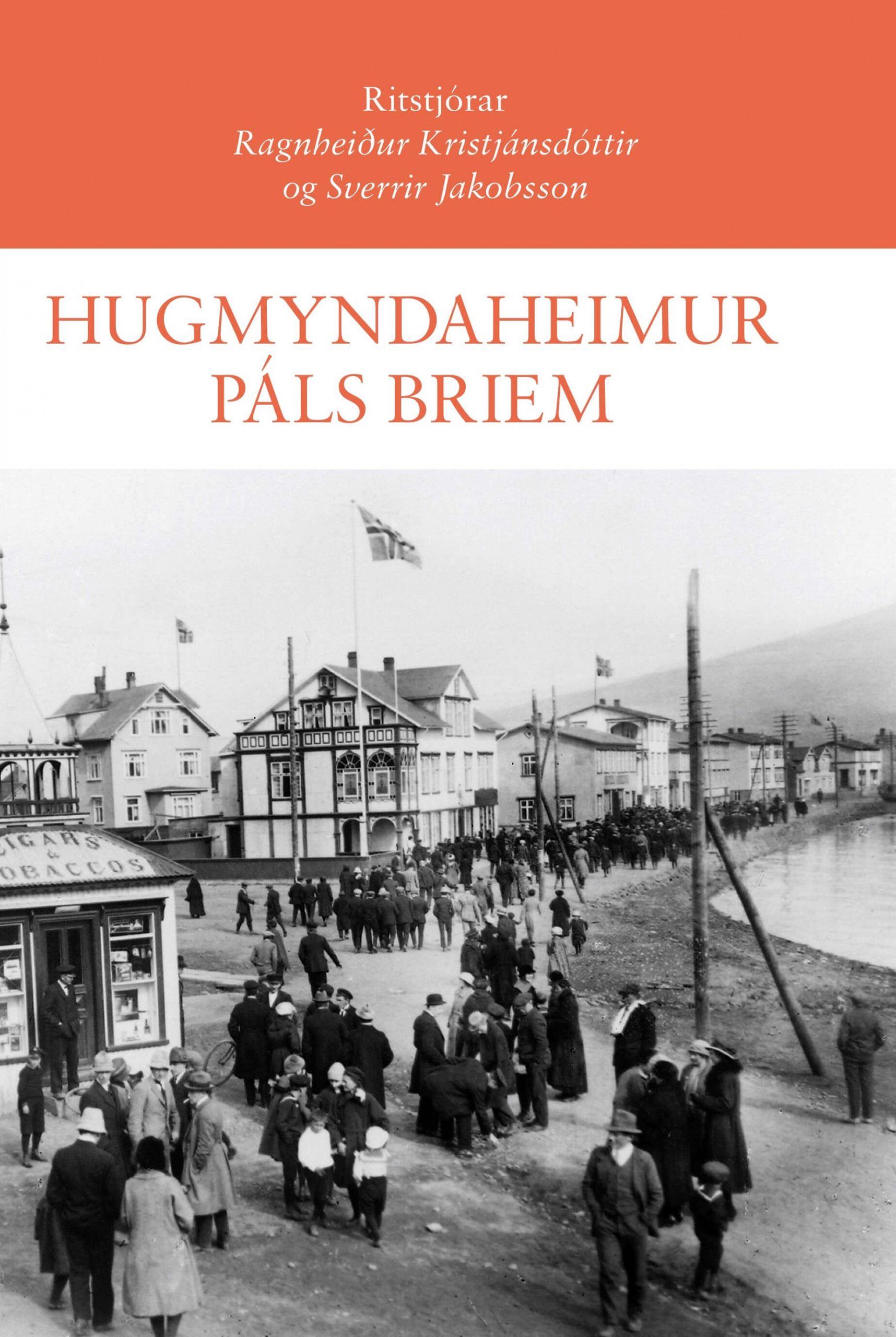 Hugmyndaheimur Páls Briem
