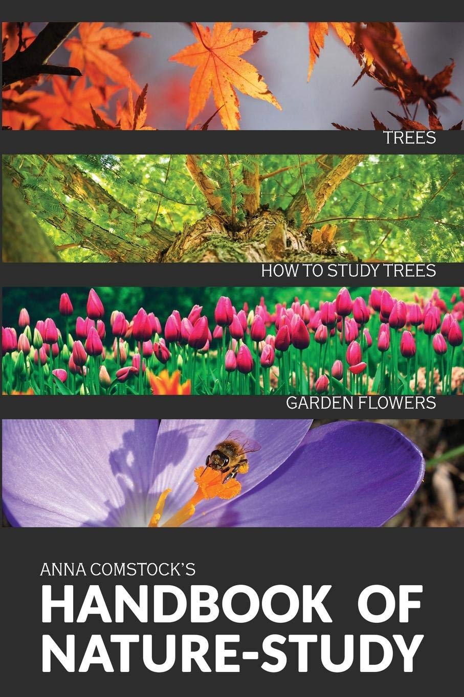 The Handbook Of Nature Study in Color - Trees and Garden Flowers (Paperback)