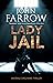 Lady Jail (The Émile Cinq-Mars Thrillers Book 9)