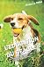 L'EDUCATION DU BEAGLE: Tout...